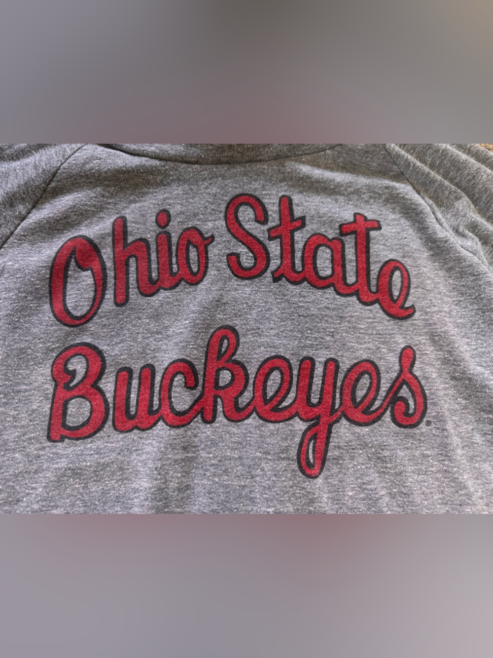 Ohio State Buckeyes Gray Thin Sweatshirt with Red Script